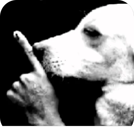 Telegram sticker 🫥 @Qtrev