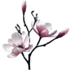 Sticker 🤍 elegance ➜ @emoji1