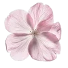 Video sticker 🤍 elegance ➜ @emoji1