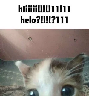 Telegram sticker 👋 @mememew11 :: @fStikBot
