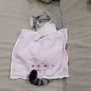 Video sticker 🛌 Ryuuya YT