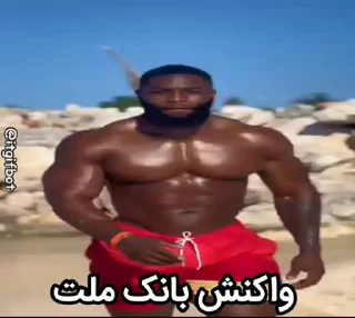 Video sticker ♟ 𝘢𝘩𝘮𝘢𝘥 𝘯1ĝĝ𝘦𝘳 𝘱𝘢𝘤𝘬