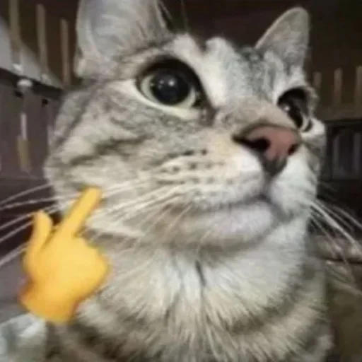 Telegram sticker 🙂 subha's pack :: @fStikBot