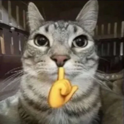 Sticker 🤫 subha's pack :: @fStikBot