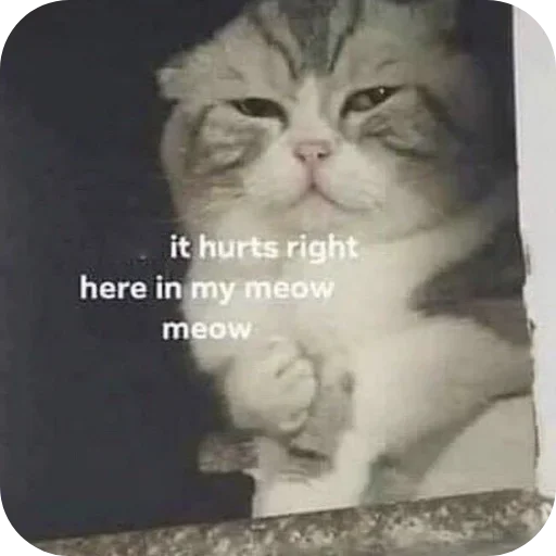 Telegram sticker 😭 subha's pack :: @fStikBot