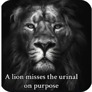 Video sticker 🧔 The Lion