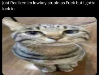 Video sticker 🌟 daycare ultimate pack numero tres