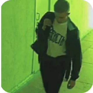 Telegram sticker 🎢 сасан