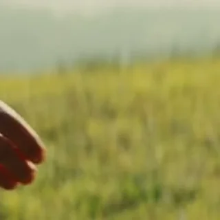 Video sticker 🤝 empath @enttitty