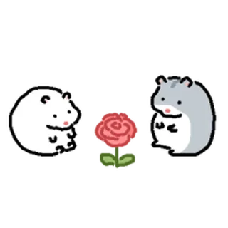 Video sticker ⭐ 쥑쥑 하찮아요 햄스터들 @moe_sticker_bot