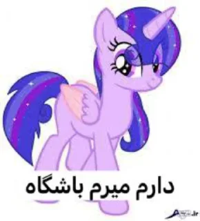 Telegram sticker 💪 اتحاد سیسی ها