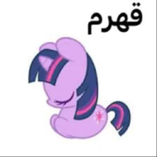 Sticker 🖕 اتحاد سیسی ها