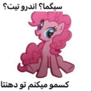 Telegram sticker 🖕 اتحاد سیسی ها