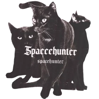 Sticker 🐈‍⬛️ @LUNECIYS STORE WORDING