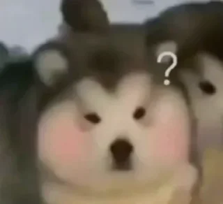 Video sticker 🤨 liuji’s