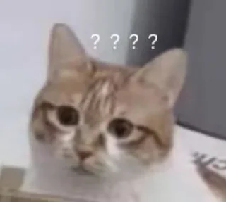 Telegram sticker ❔ Random Cats