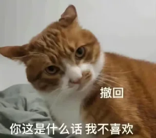 Video sticker 🤨 Random Cats
