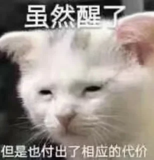 Telegram sticker 🥱 Random Cats