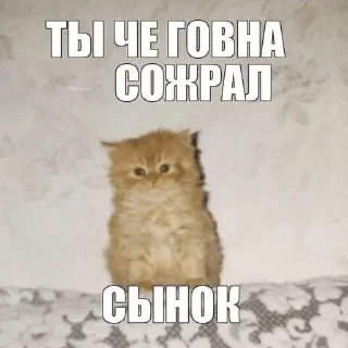 Telegram stiker 🌟 Иди нахуй :: @fStikBot