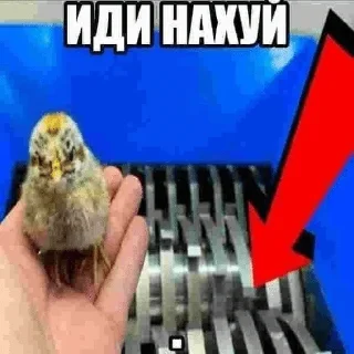 Telegram stiker 🌟 Иди нахуй :: @fStikBot