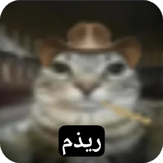 Telegram sticker 👍 Kososher