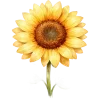 Sticker 🤩 Love for flowers from @emoji_from_katejka