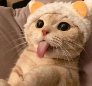 Telegram sticker 😸 NickGame17's Sticker Pack