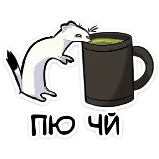 Video sticker ☕ @stickersvvk Горностай Гера