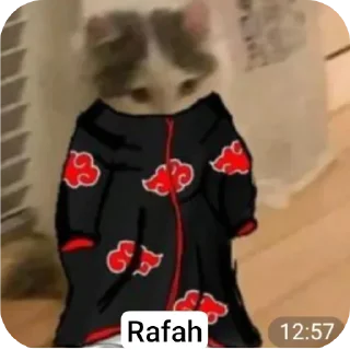 Sticker 🧥 Rafa2 :: @fStikBot