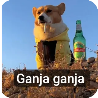 Sticker 🐶 Hehe pack