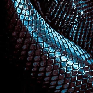 Video sticker 🐍 snake clube @personal_witches