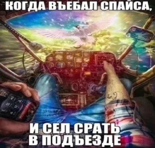 Sticker 🤩 Говна навернул. By @Sh1waRY