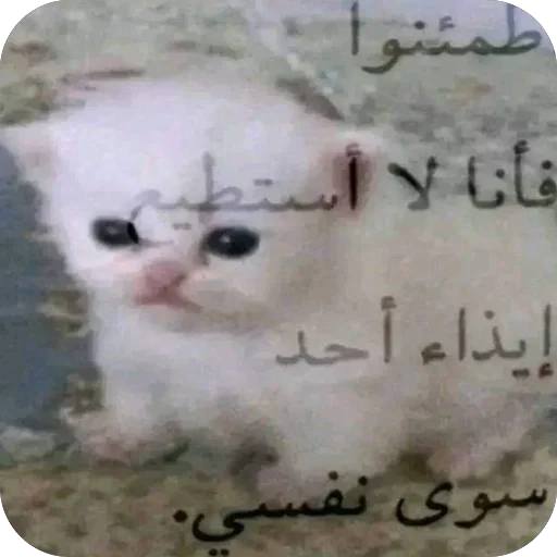 Телеграм стикер 😢 mine. :: @fStikBot