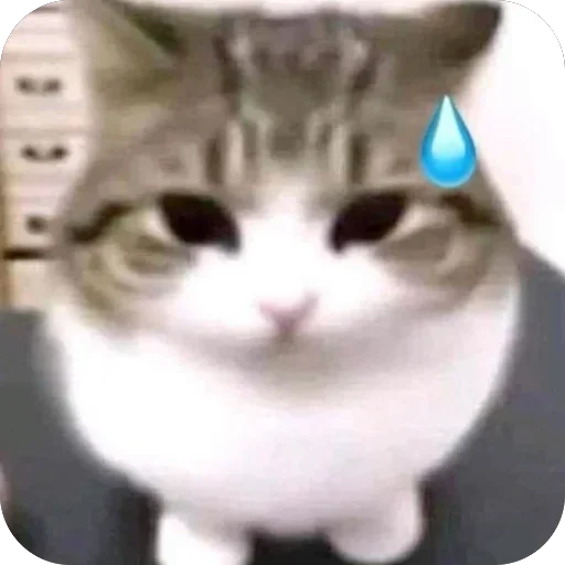 Телеграм стикер 😓 mine. :: @fStikBot