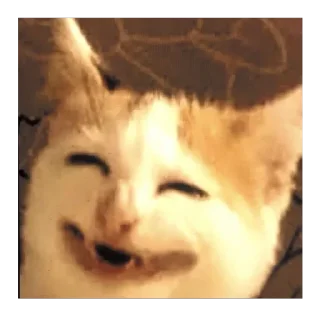 Телеграм стикер 🫥 تجميعة @potatoes87