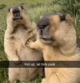 Телеграм стикер 🤨 Idk