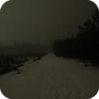 Video sticker 🌌 Winter @TheKoen @naturesembrace