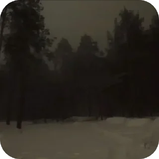 Video sticker 🌌 Winter @TheKoen @naturesembrace