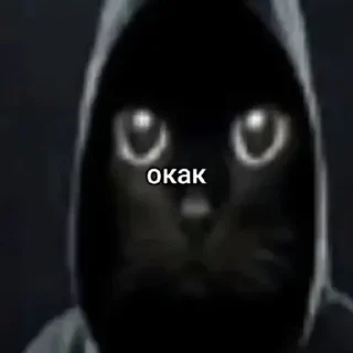 Video sticker 🤩 Больше стиков тут: @stikery4