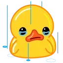 Video sticker 😭 Full Duck's Emoji