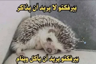 Telegram sticker 😔 @i_m_m @u_u_n @y_m_m