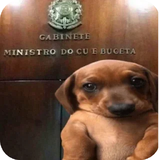 Sticker 🐶 Dona da figurinha a anny