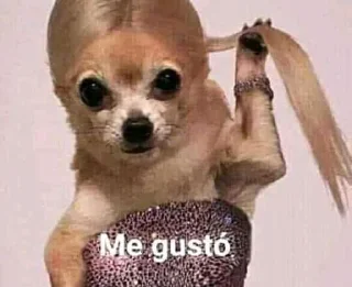 Telegram sticker 😊 No mi ciela 💅