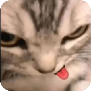 Telegram sticker 👍 SI LA USAS LE DAS ORAL AL JEFE