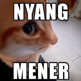 Telegram sticker 🤨 punya rin