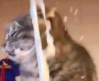 Telegram sticker 🥛 Lo que sea xd Los caídos