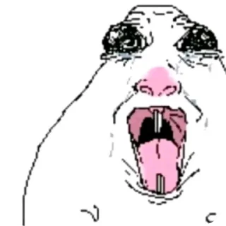 Video sticker 👄 hamsters @MAc11grAviz