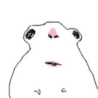 Telegram sticker 👄 hamsters @MAc11grAviz