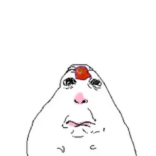 Video sticker 👍 hamsters @MAc11grAviz