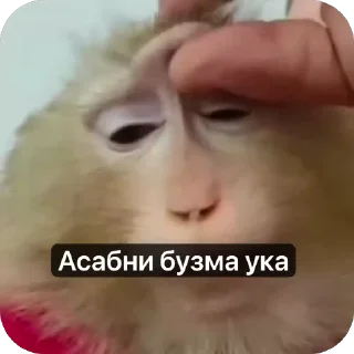 Video sticker 🤩 @VoxMa_QmaYe